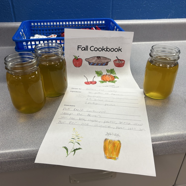 Making goldenrod jelly!
