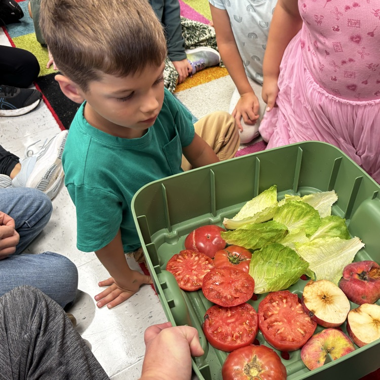 Worm buffet! Food waste from the garden produce. 