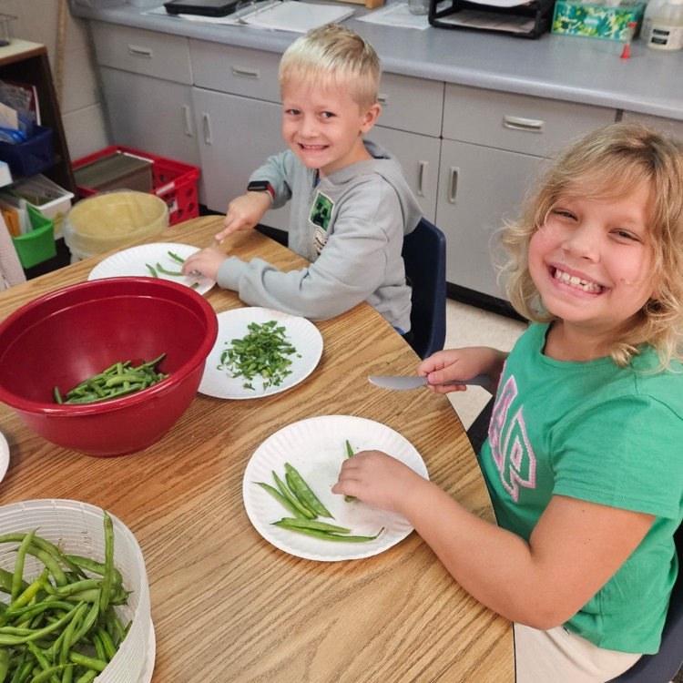 Making dilly beans!