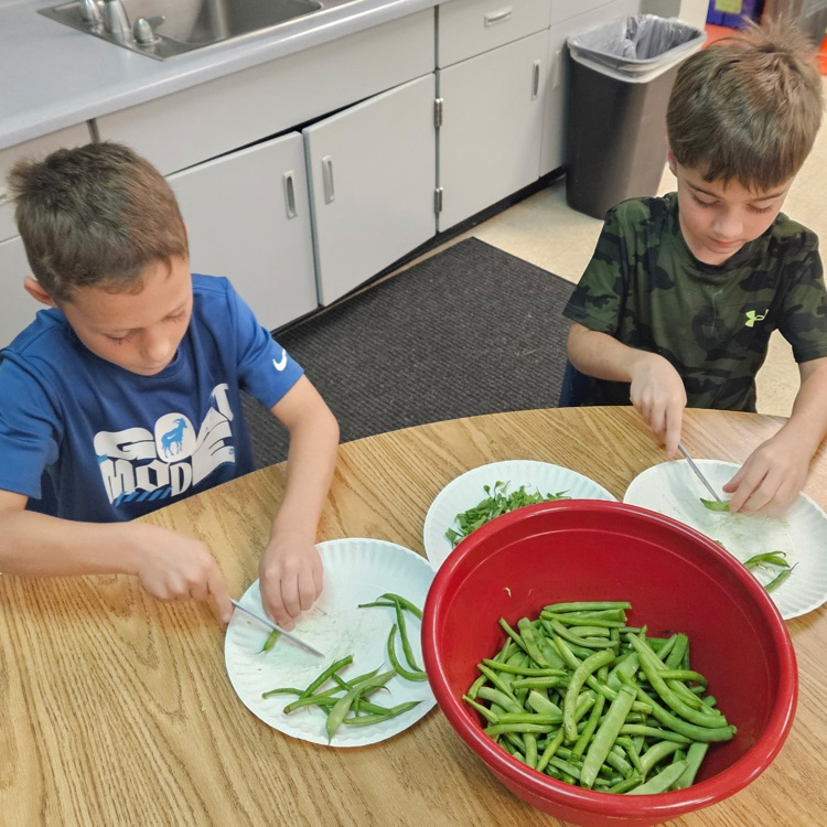 Making dilly beans!