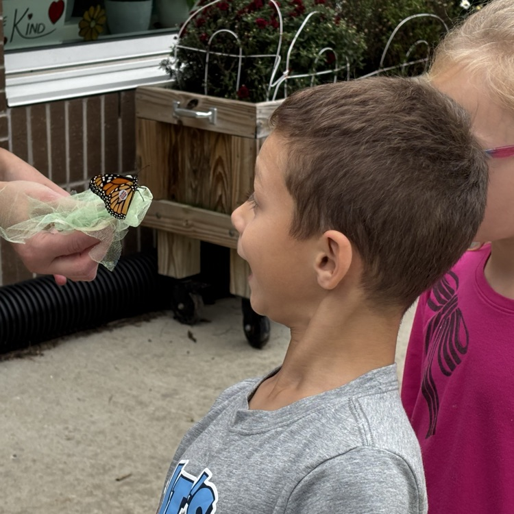 Tagging monarch butterflies for the migration !