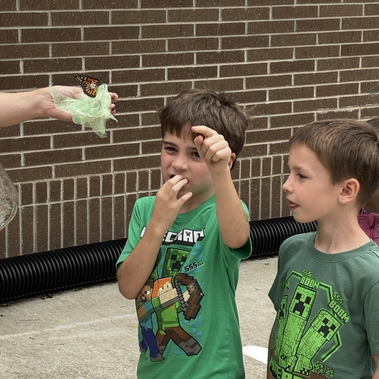 Tagging monarch butterflies for the migration!