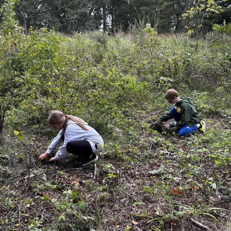 Planting native grasses, sedges, and flowers! 