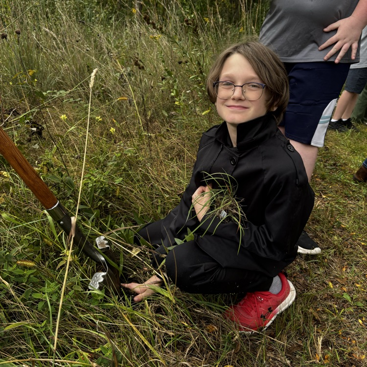 Planting native grasses, sedges, and flowers! 