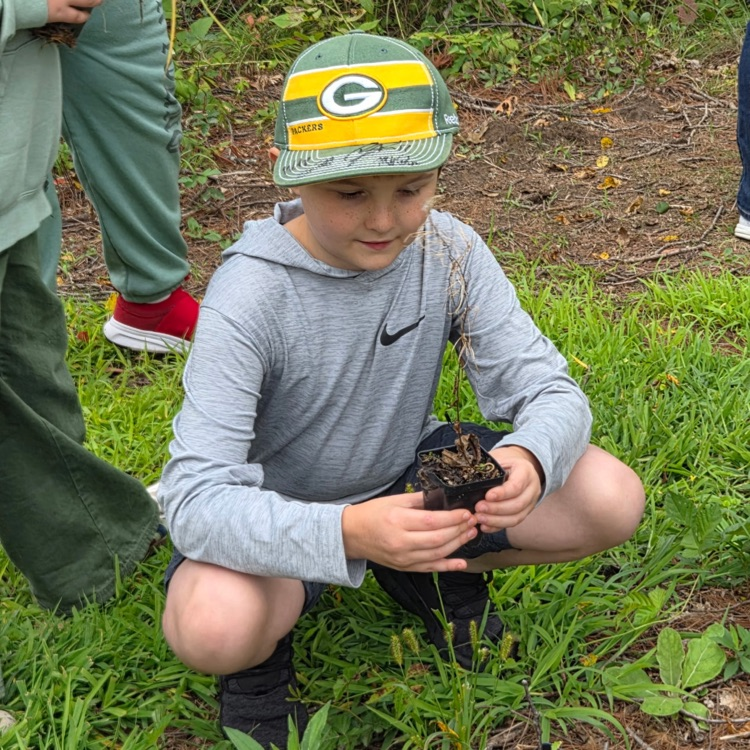 Planting native grasses, sedges, and flowers! 