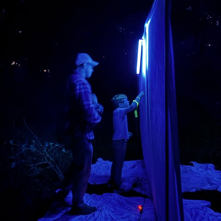 Specialized lights to attract insects for viewing. 