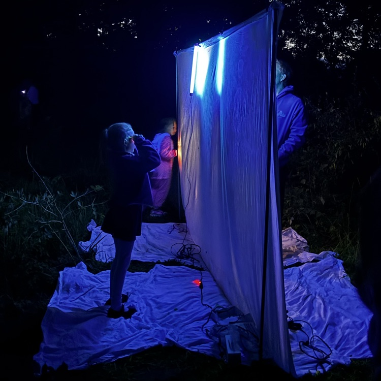 Lighting up science! 