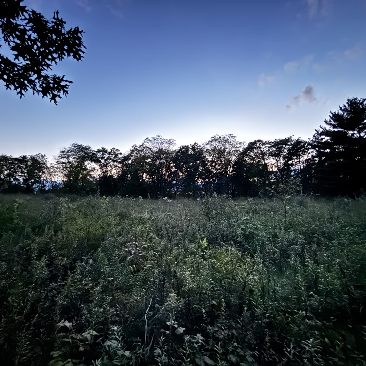 Perfect prairie evening for an after-dark field trip! 