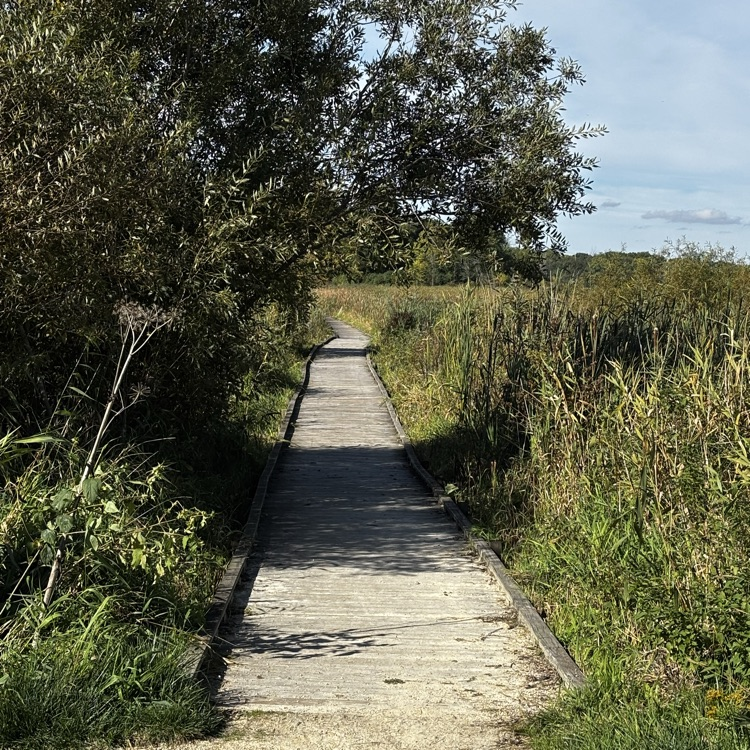Lovely day at Horicon Marsh!
