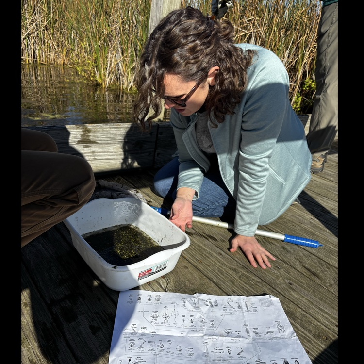 Observation and identification 