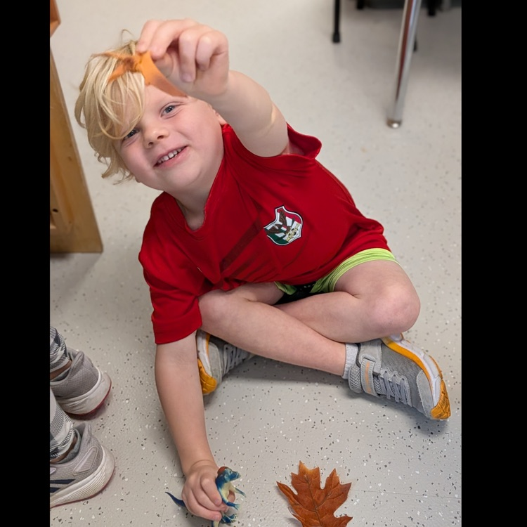 Leaves! 