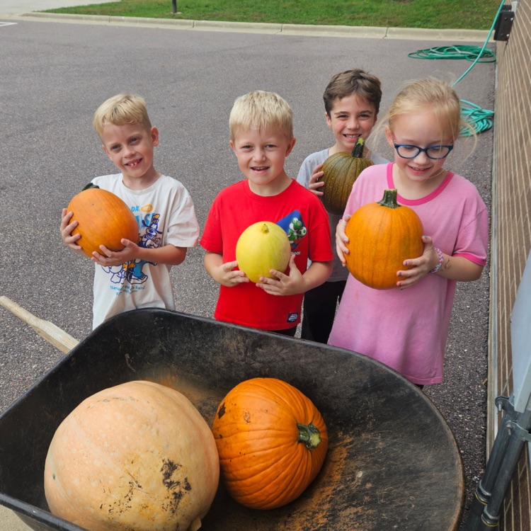 Picking pumpkins! 