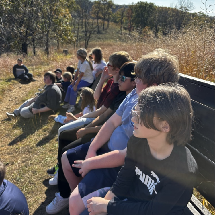 Taking in the view