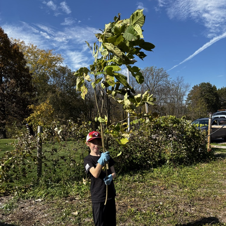 Trimming branches!