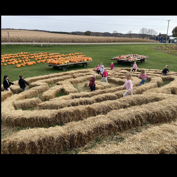 Hay bale maze fun!