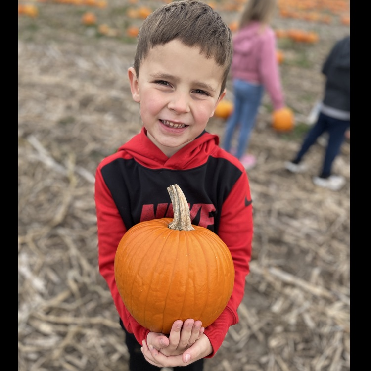 Pick a pumpkin!
