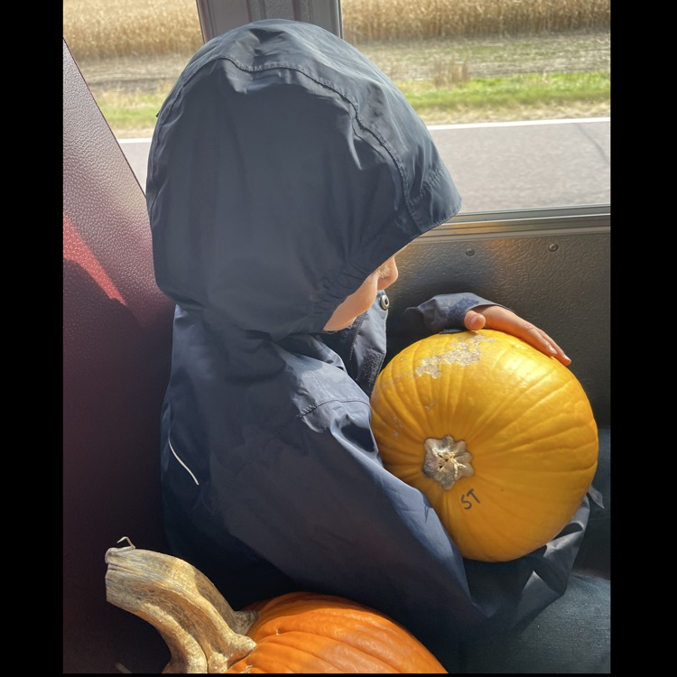Pumpkin on the bus! 