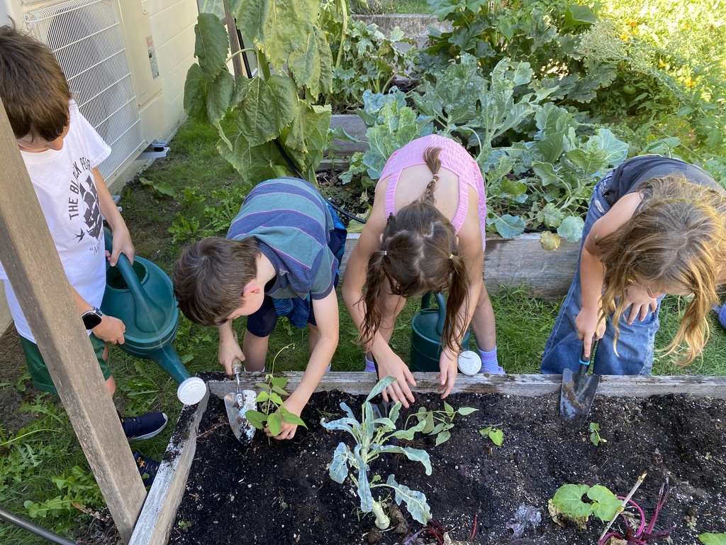 garden