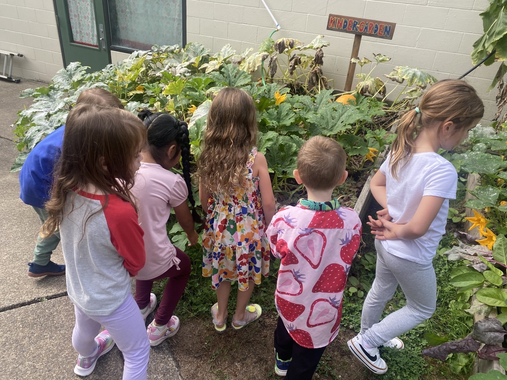 SIS Garden.