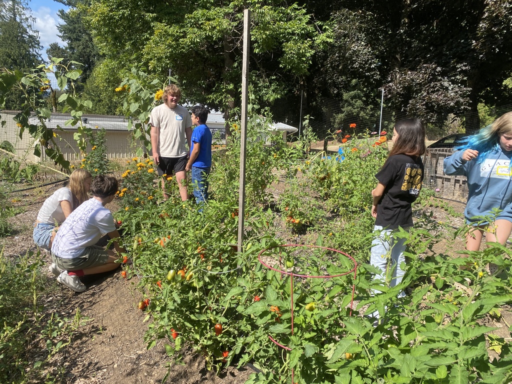 SIS Garden.