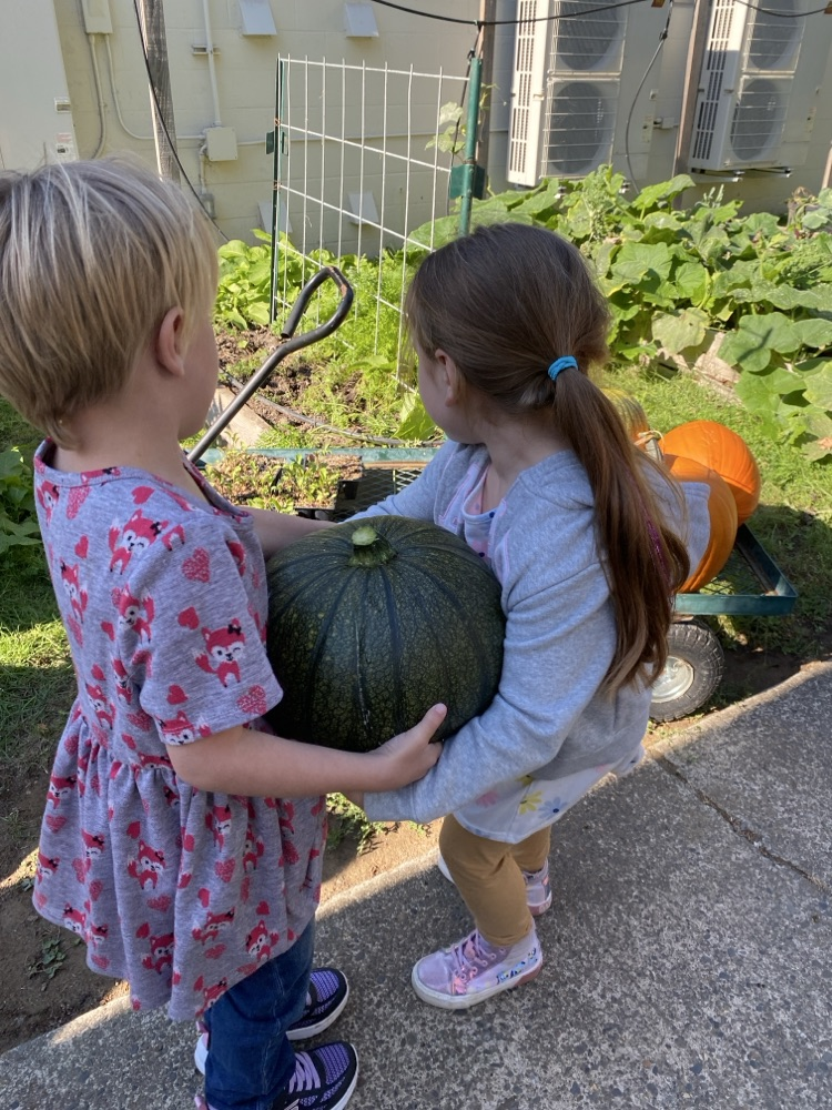 SIS Garden. 
