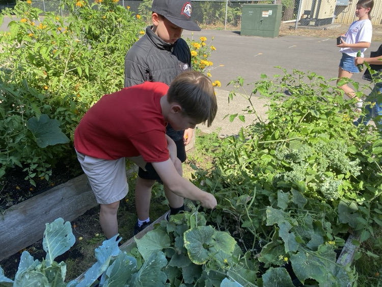 SIS Garden. 