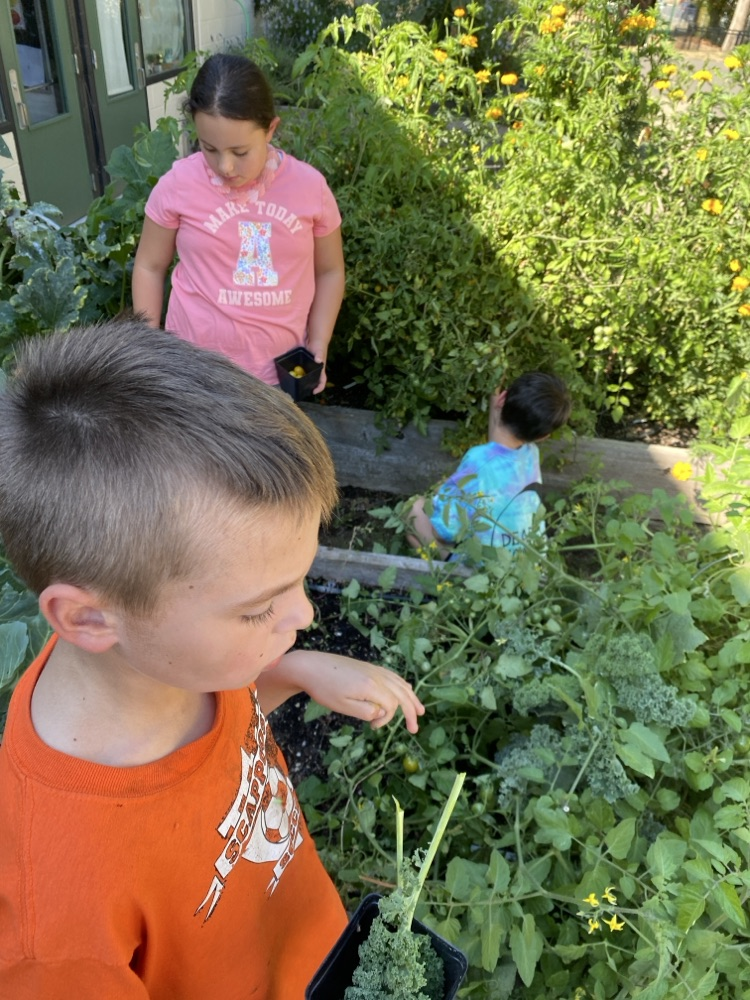 SIS Garden. 
