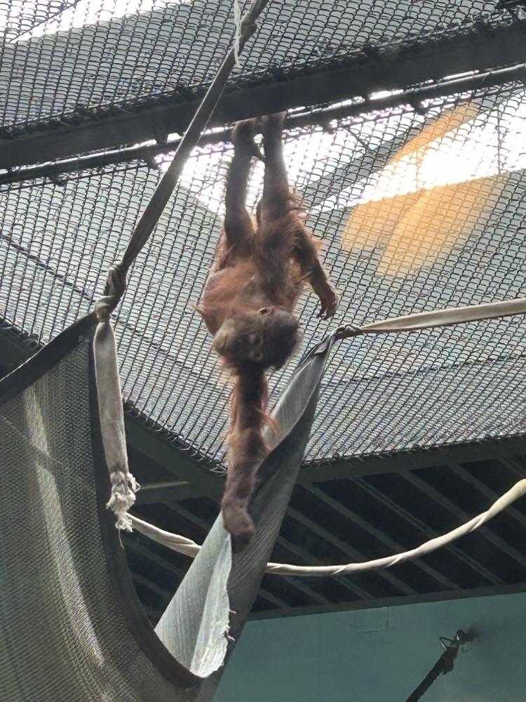 Oregon Zoo. 