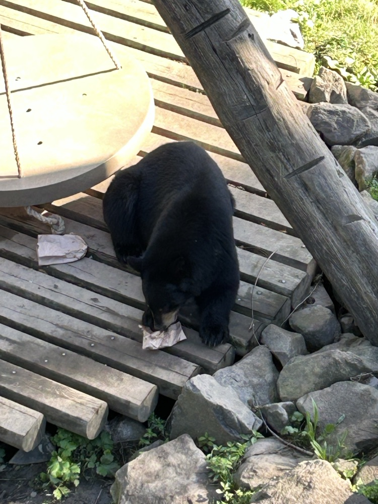 Oregon Zoo. 