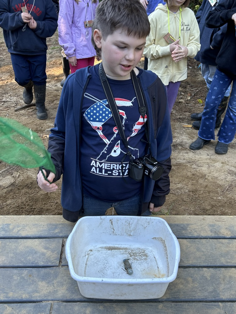 Outdoor school. 