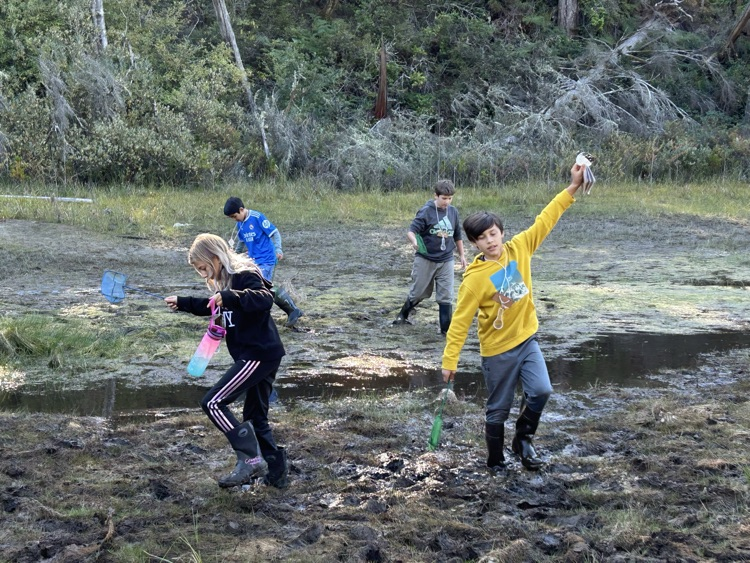 Outdoor school. 