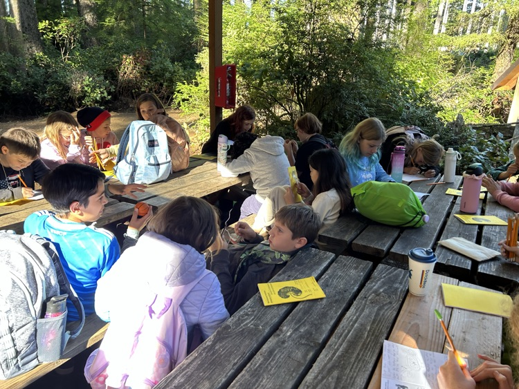 Outdoor school. 