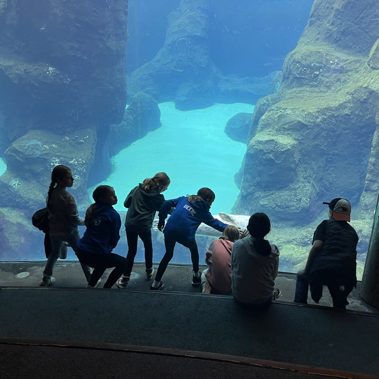 5th grade at the zoo.  