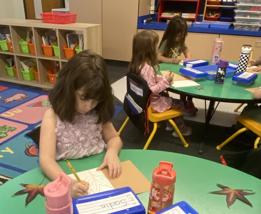 Kindergarten Nature Journals