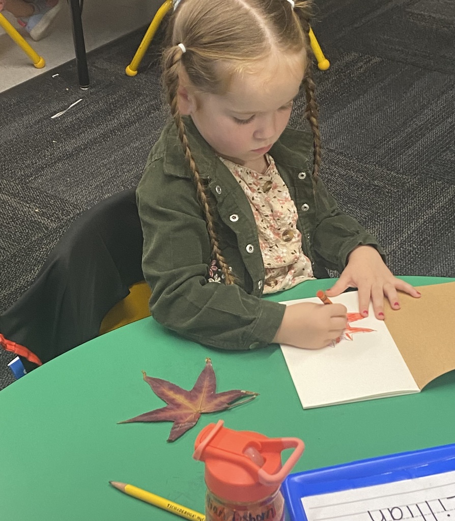 Kindergarten Nature Journals