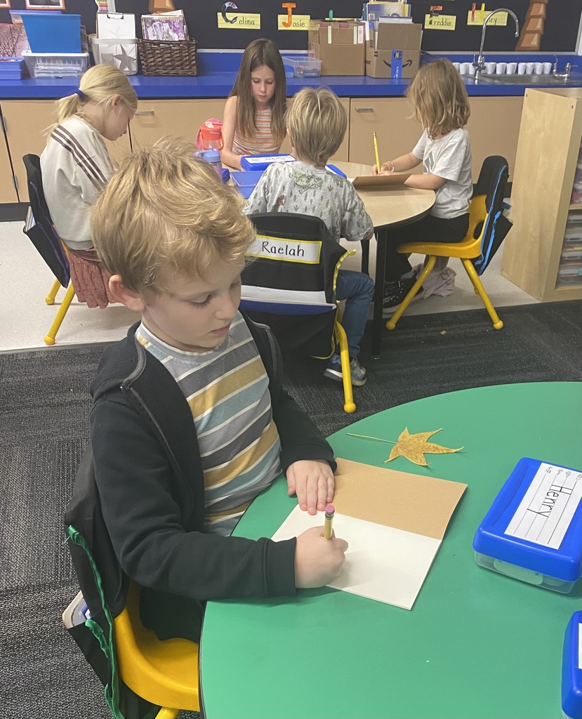 Kindergarten Nature Journals