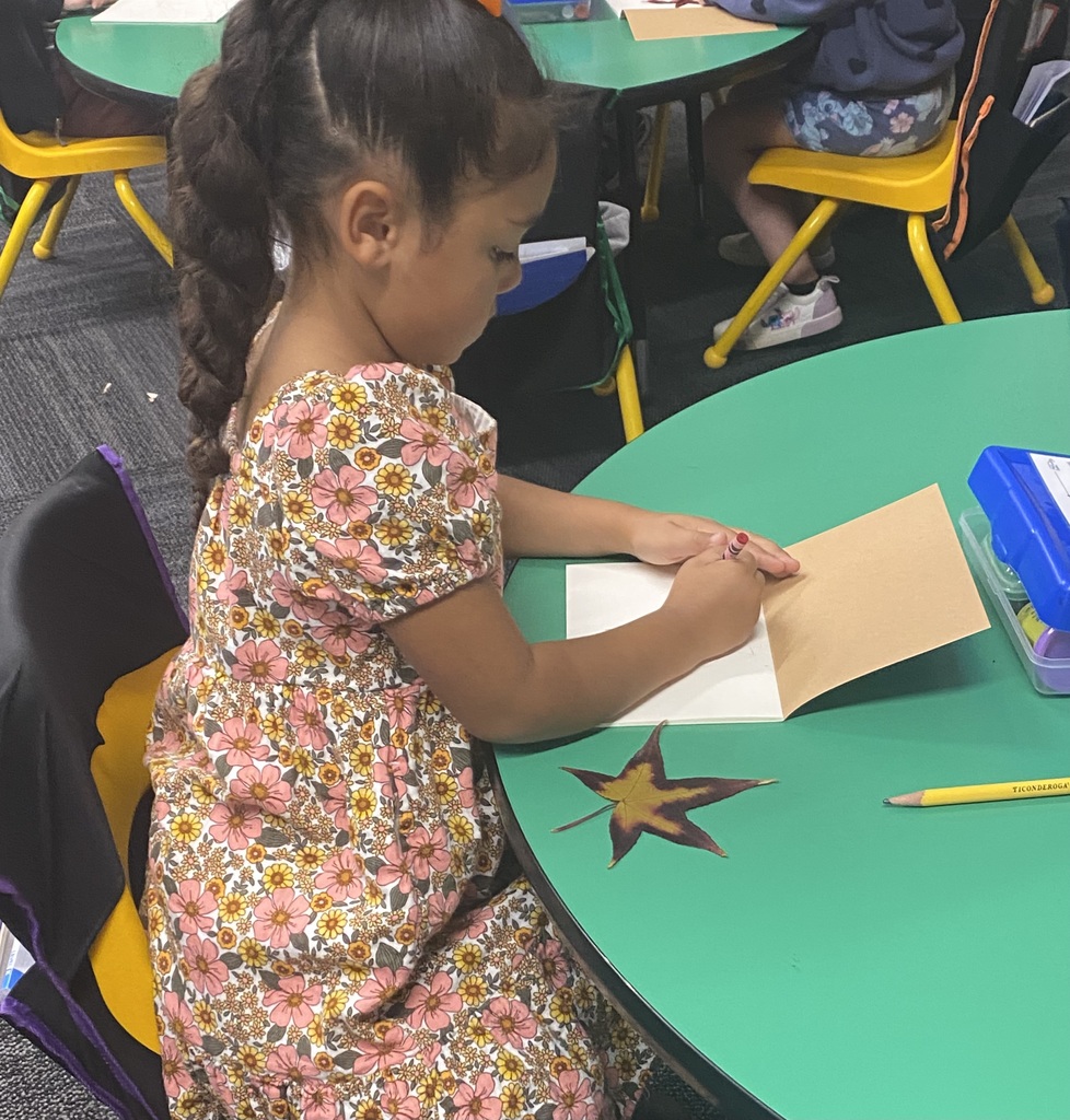 Kindergarten Nature Journals