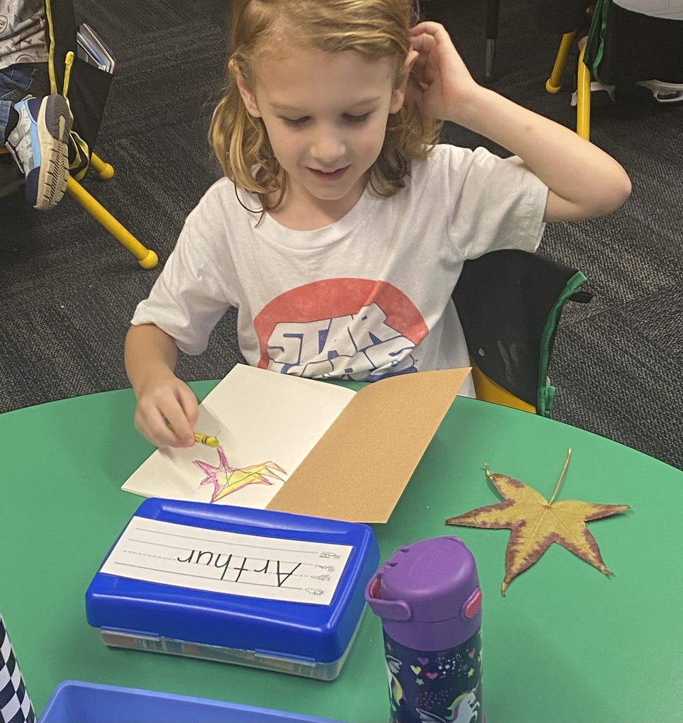 Kindergarten Nature Journals