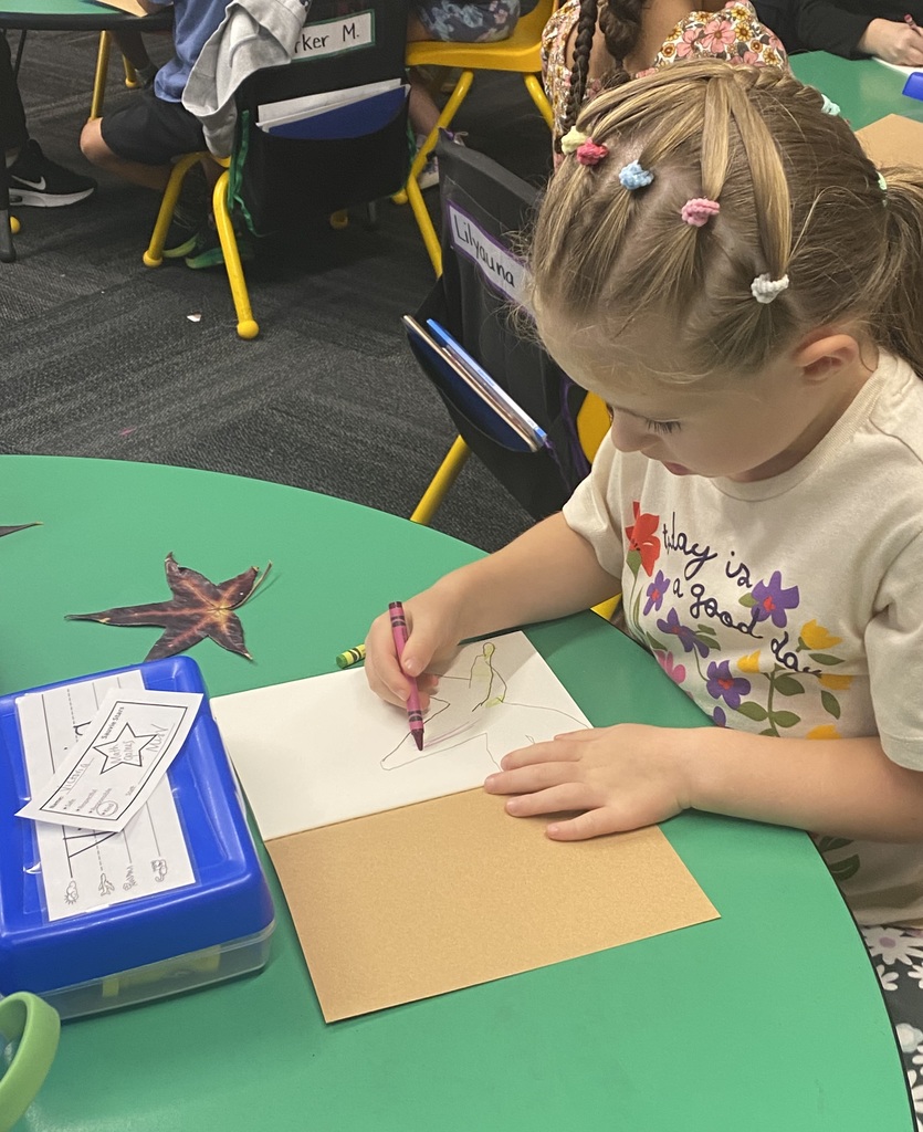 Kindergarten Nature Journals