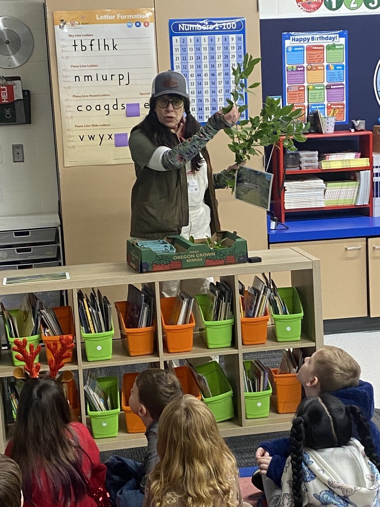 Bay Leaves & Journaling