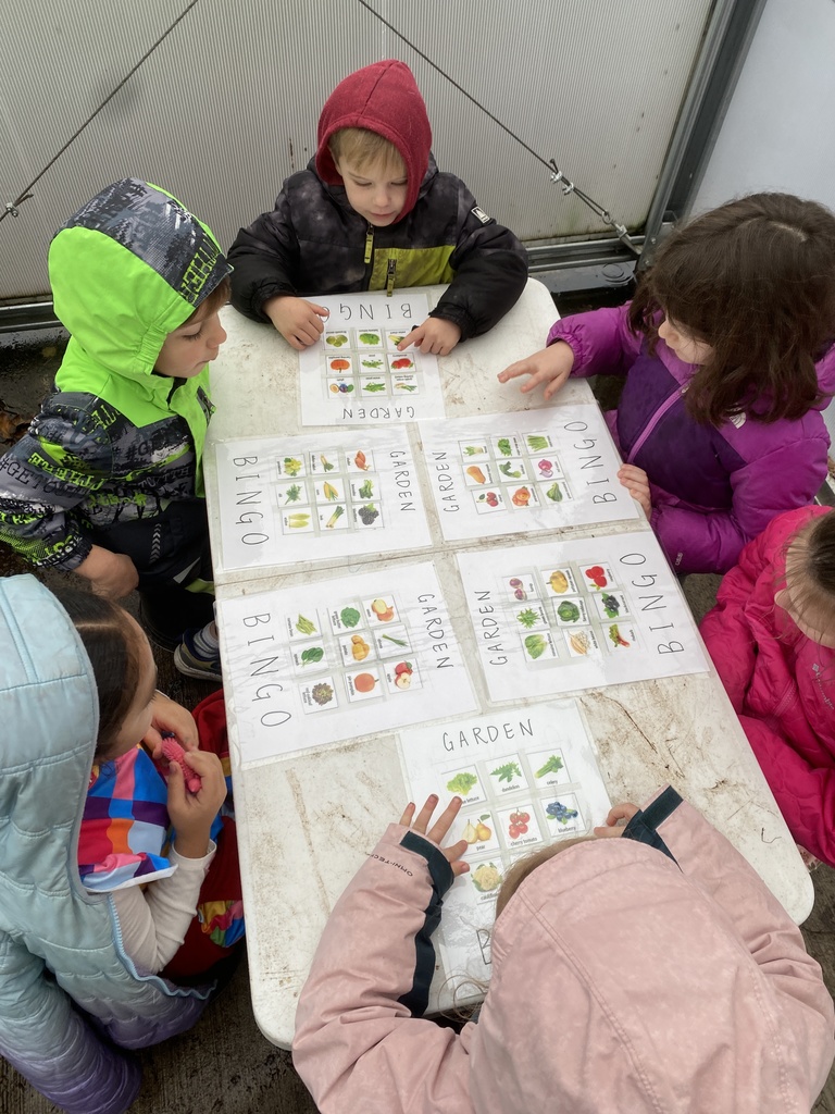 Veggie bingo, arugula harvest, transplanting and watering in the greenhouse.