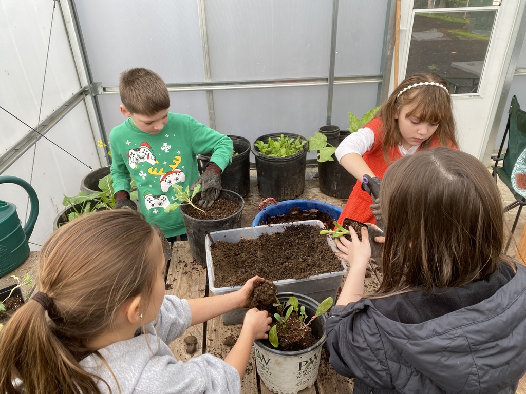 Garden planning for spring,  transplanting, and harvesting!