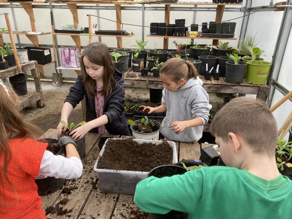 Garden planning for spring,  transplanting, and harvesting!