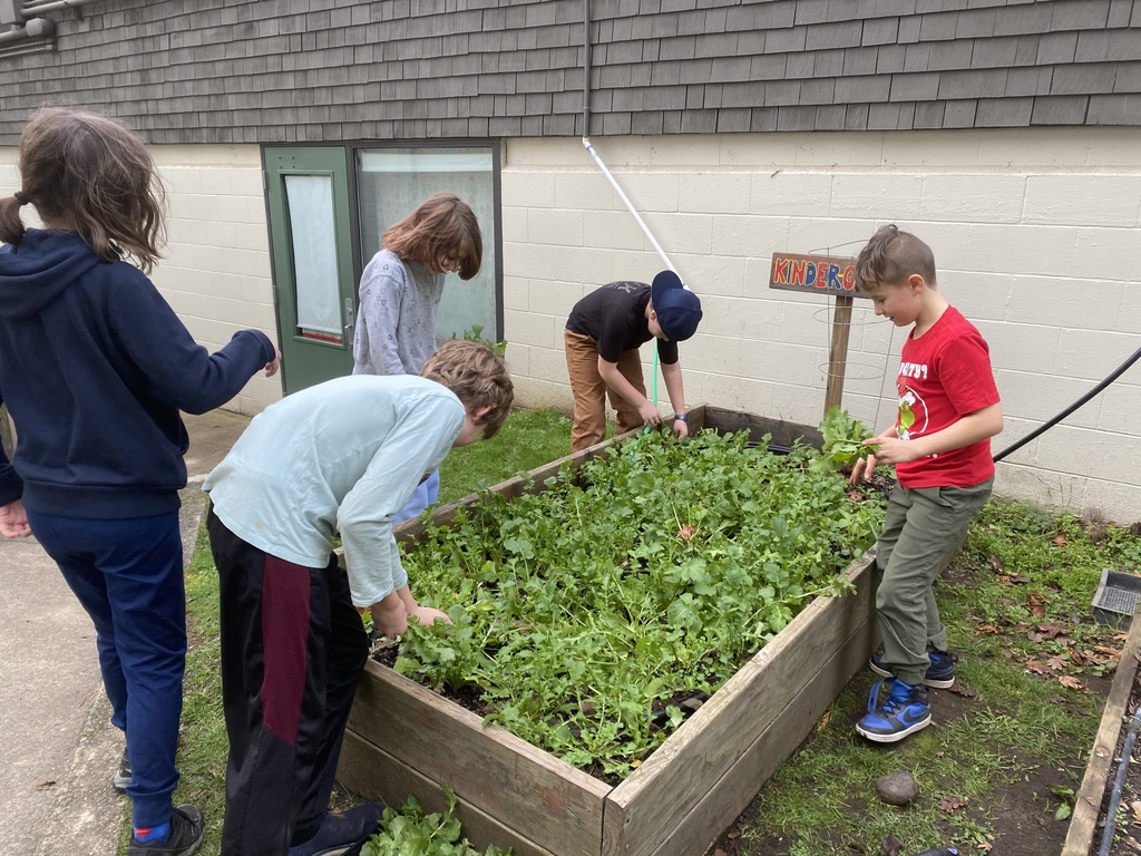 Garden planning for spring,  transplanting, and harvesting!