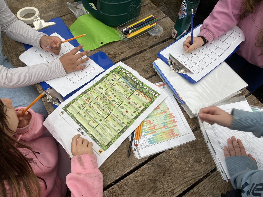 Garden planning for spring,  transplanting, and harvesting!