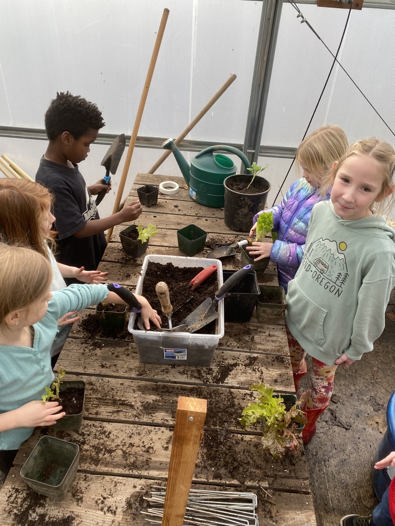 Garden planning for spring,  transplanting, and harvesting!