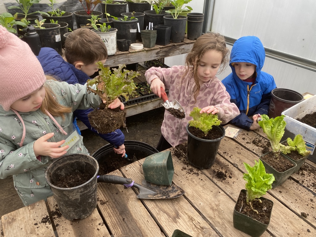 Garden planning for spring,  transplanting, and harvesting!