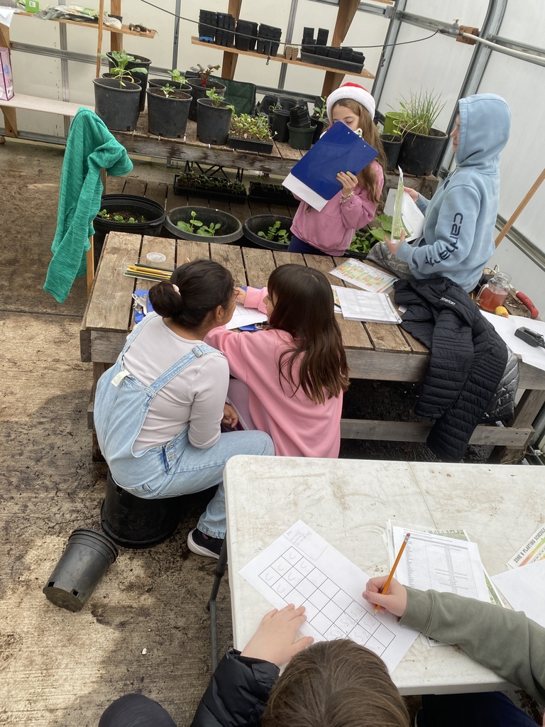 Garden planning for spring,  transplanting, and harvesting!