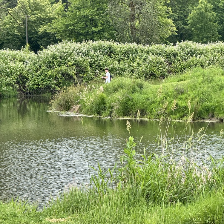 Fishing