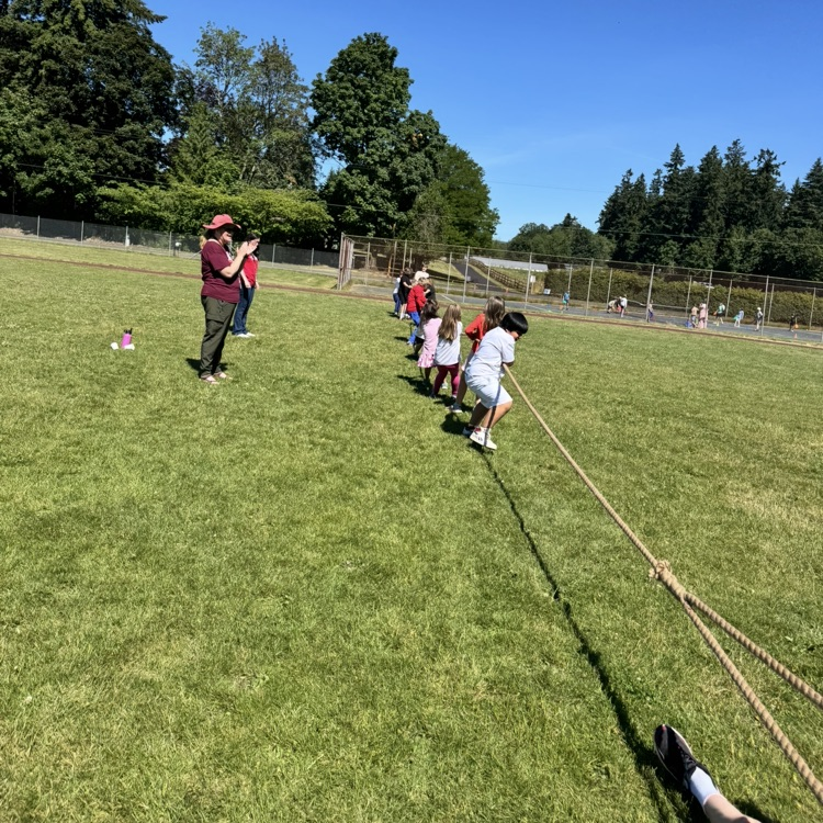 field day